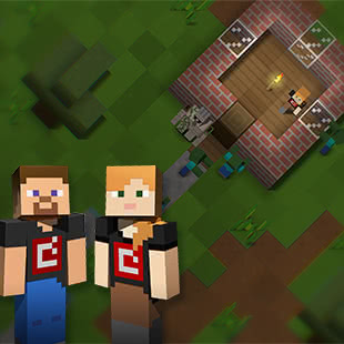 Minecraft Photo