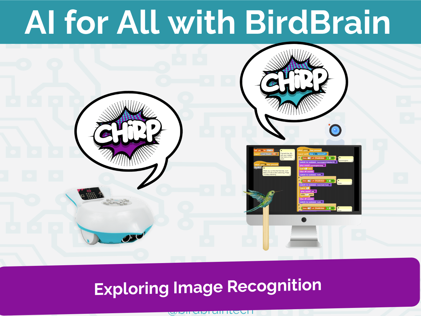 Finch Spirals - BirdBrain Technologies